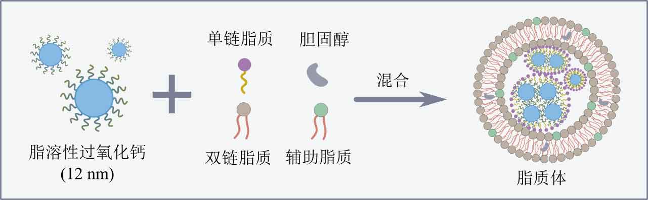 liposome fabrication